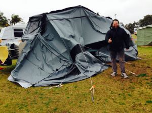 Flattened Siberian Tiger!
