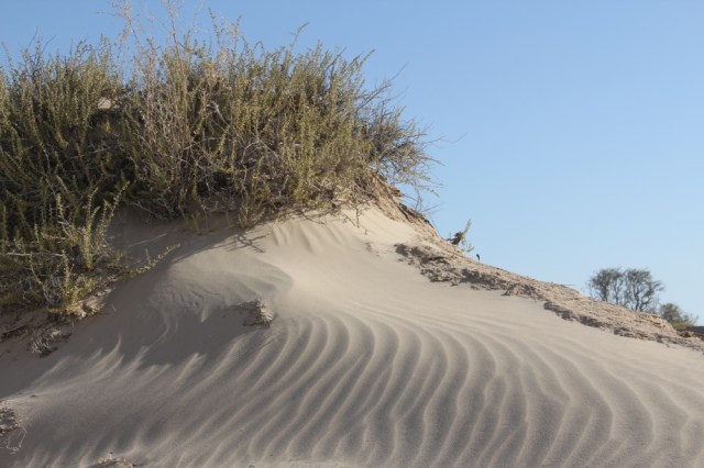 I'll see you on the dark side of the dunes :)