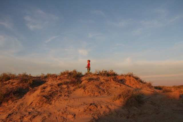 Finn among the dunes