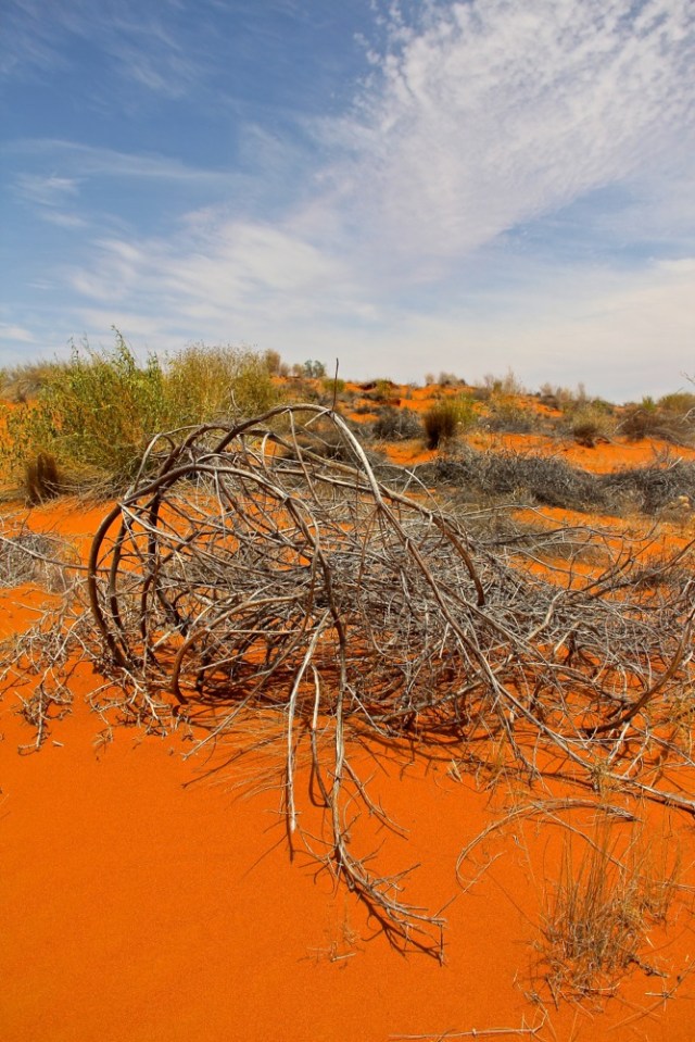 red dune