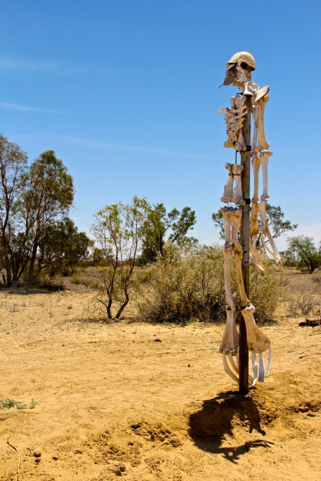 Don't worry - this super sized skeleton appeared to have been crafted with animal bones.