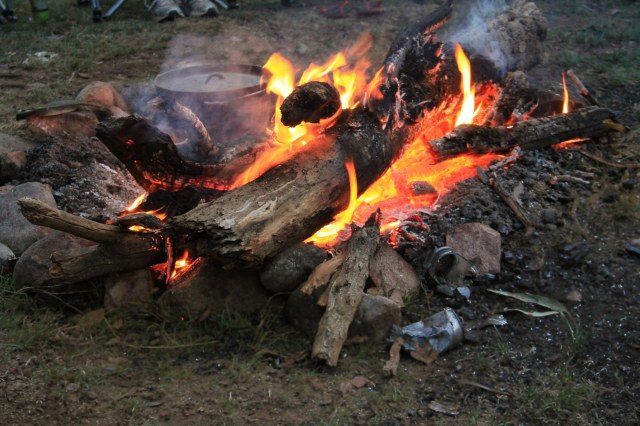 Well done, fearless leaders!